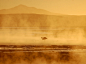 Picture of a flamingo at a natural hot spring in Bolivia