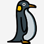 企鹅海洋生物28线性颜色图标 页面网页 平面电商 创意素材