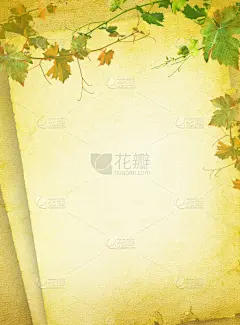 葡萄酒,菜单,清单,垂直画幅,褐色,古董,无人,衰老过程,古老的,含酒精饮料