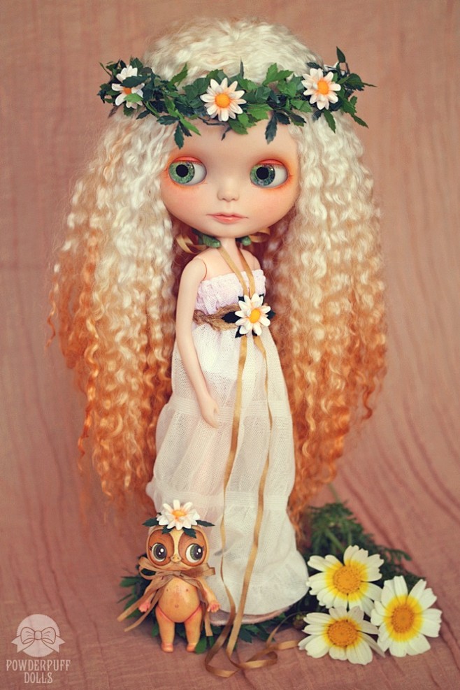 Meadowdaisy beauty -...