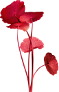 flower2.png (322×503)