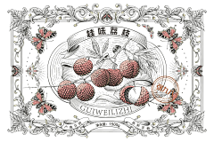 那个画画的女子采集到插画