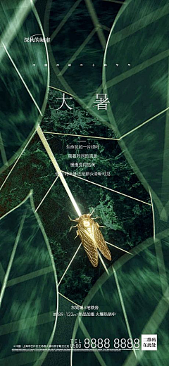 哎哟喂2采集到第四代