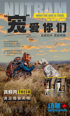 喵系!采集到1