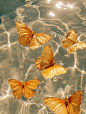 (674) Pinterest