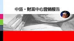 四川安岳县中盛·财富中心营销策略报告-2