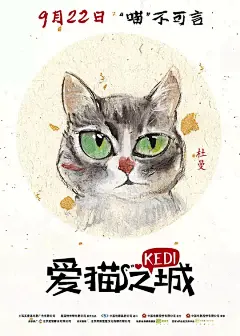 爱猫之城 Kedi 海报