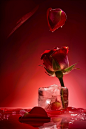 rose121668_A_rose_encased_in_an_ice_cube_creating_a_Valentines__58a64605-7bbc-4d36-aa1c-f4a7c854b293