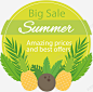 夏季菠萝和椰子装饰促销标签矢量图图标 UI图标 设计图片 免费下载 页面网页 平面电商 创意素材