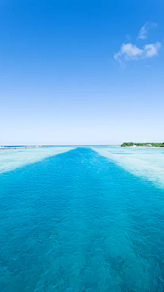 浪人iu采集到海