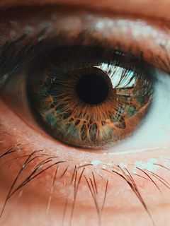 为卿歌舞为伊狂采集到灵眸