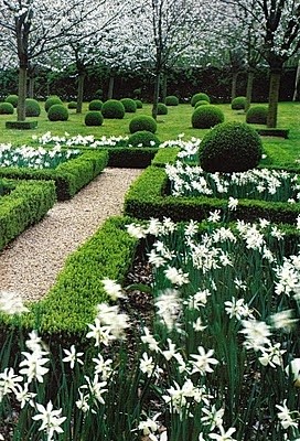 【景观绿篱植物设计图集下载】绿墙模纹花坛...
