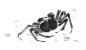 水墨蟹3