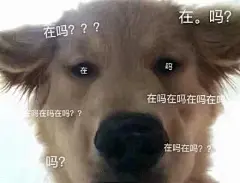 一个【狗子】表情包合集 

#红人的诞生# ​​​​