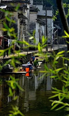 漫步美妙春天 呼吸自由的空气 安卓手机高清壁纸推荐
