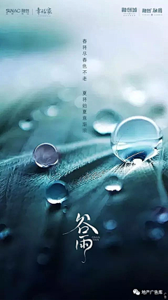 揪琦采集到谷雨