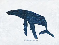小说封面 | 大鱼宙-小鱼绘过敏_宇宙,星空,大鱼_涂鸦王国插画