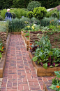 Vegetable garden: 