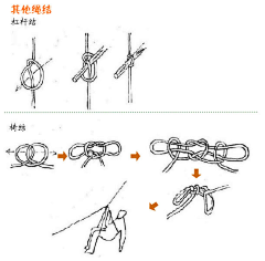 饮者lzg采集到生活知识-常识