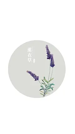 花系列之薰衣草 文艺 简洁 白底 手机壁纸 锁屏壁纸 键盘壁纸
