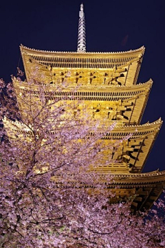 kent8282采集到景点