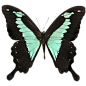 ee43452b6e157c8762218662b8bc354fe73474ad19f60-qjfUEa_fw1200