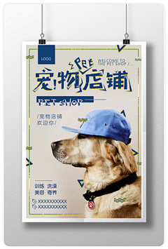 北冥dun鱼采集到宠物海报