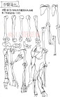 #资源君# 【新手学画】男性及女性的手及手臂肌肉及骨骼绘画参考资料！自己借鉴，转需！