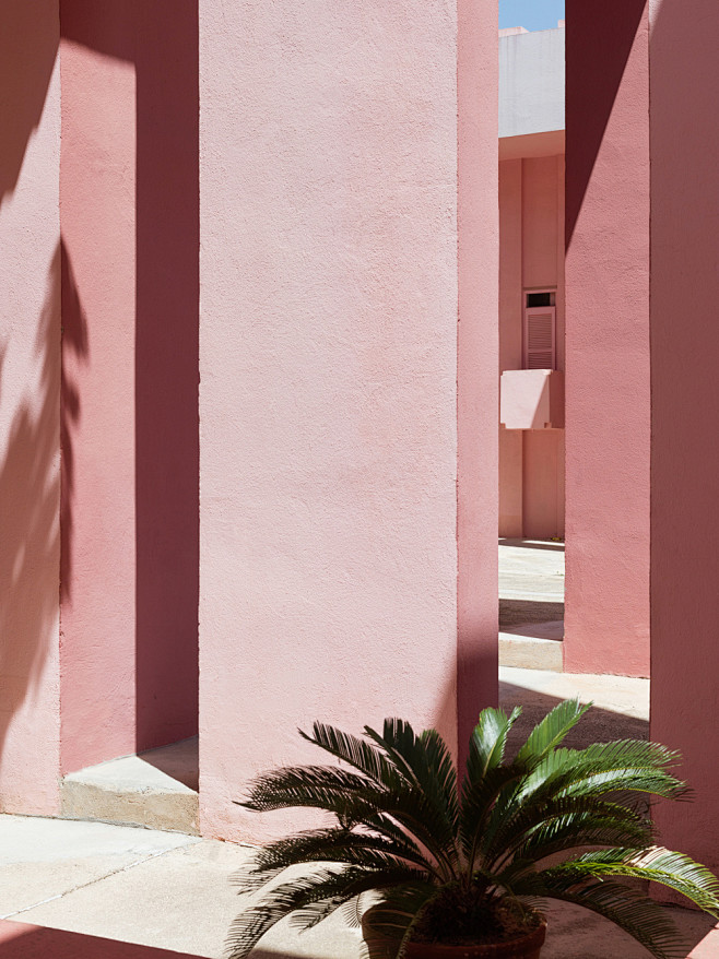 La Muralla Roja, Ric...