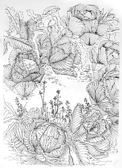 各种植被树木线描手稿
.
场景速写风景手绘参考
.
佚名 ​​​​