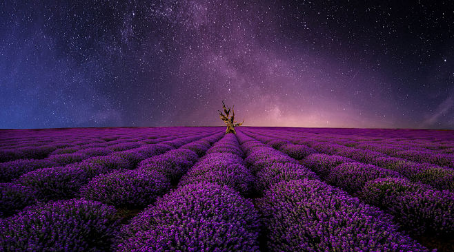 Dreamscape by Peter ...