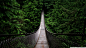 General 1920x1080 bridge forest nature trees vintage green landscape Venezuela