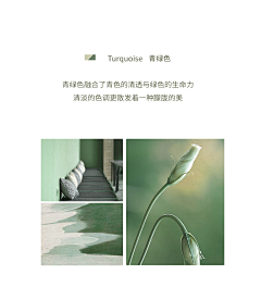 深海里的七彩鱼~~采集到面料
