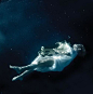 神秘天真的水下摄影：爱丽丝漫游水世界