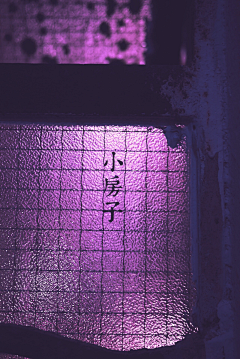 Ellinson采集到Purple·紫