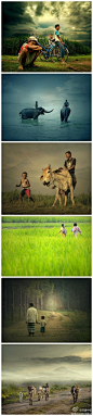 #美图分享#本期推荐摄影师：Teuku Jody Zulkarnaen。来自印尼的摄影家用手中的相机记录下田园牧歌般的乡间生活，孩子们的笑脸洋溢着童年的天真。你想起了自己的童年吗？