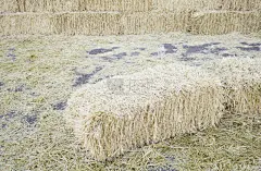 稻草,草垛,干草卷,褐色,干草,水平画幅,忙碌,纤维,夏天,叠