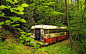 General 1920x1200 nature trees forest buses abandoned