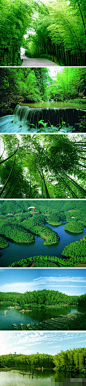 宜宾竹海——历史悠久的人文景观最大原始“绿竹公园”；植被覆盖率达87%，为空气负离子含量极高的天然氧吧。