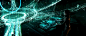 slide-optimize.gif
