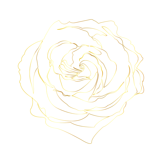 手绘金色玫瑰