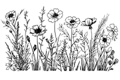 图源免费EPS |手绘的草地野花景观水墨画。雕刻风格的矢量插图