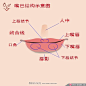Ps绘制学习教程:讲解人物五官的画法
