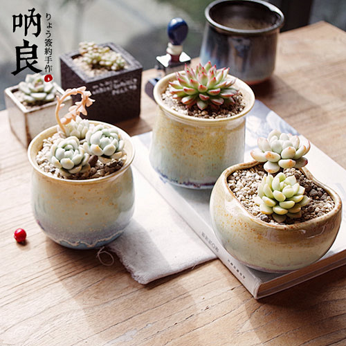 |呐良|多肉植物花盆 须藤涼画堂春 黄衫...