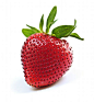 Strawberry on white background