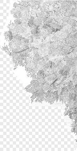 装饰其他PNG图片 来自 PNG搜索网 pngss.com 免费免扣png素材下载！-花瓣网