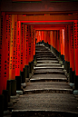 Senbon Torii at Fushimi Inari Taisha, Kyoto, Japan #摄影师# #美景# #城市#
