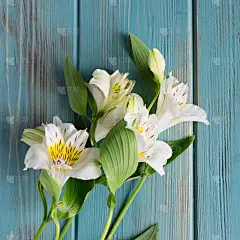 背景与一束花在一个木制的背景。带有一束花的横幅和用于copyspace的空间。从以上观点。插花贺卡的