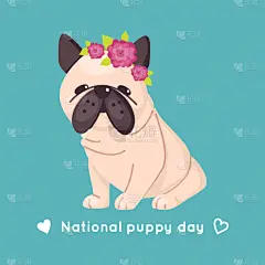 可爱的,巴哥犬,粉色,花环,动物头,纯种犬,肖像,狗,花,爱