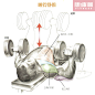 肌肉训练健身图解：胸肌力量肌肉训练动作及图解_名词百科_产品资讯_【康体100】跑步机按摩椅健身器材专卖